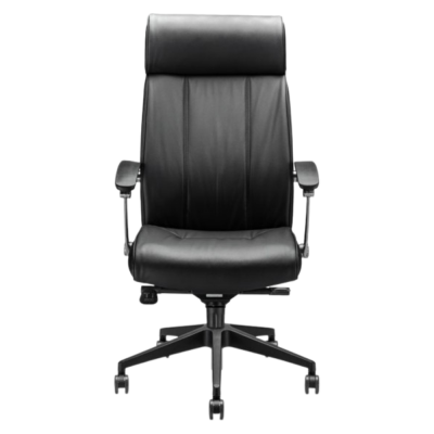 SILLA DIRECTIVA 2498 C