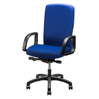 silla directiva 2490 cs