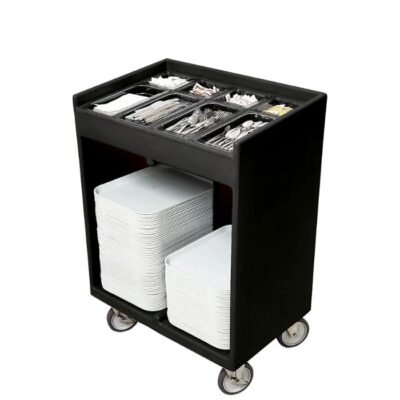 TRANSPORTE ESPECIALIZADO